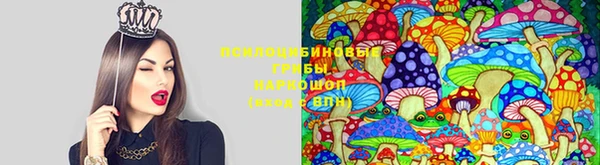 круглые Гусь-Хрустальный