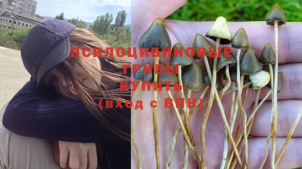 круглые Гусь-Хрустальный