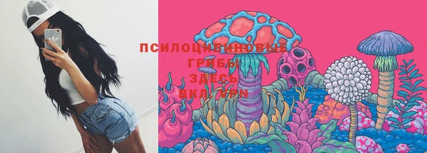 круглые Гусь-Хрустальный