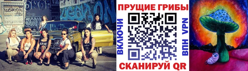 Купить  Новомосковск  Галлюциногенные грибы мухоморы 