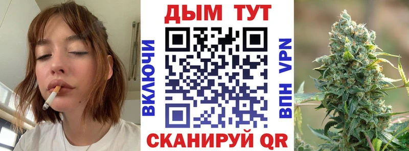 Бошки Шишки гибрид  Купить  Новомосковск 